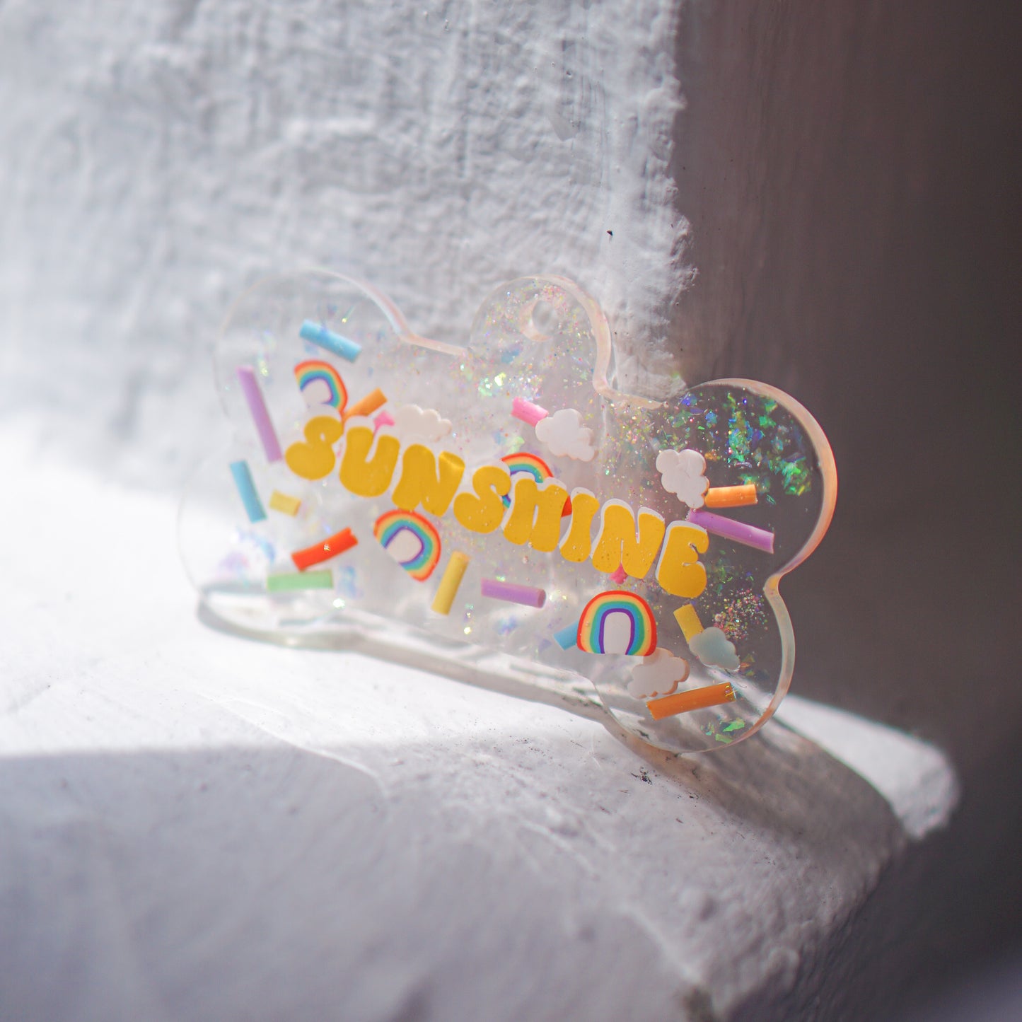 Retro Rainbow Bone Dog Tag